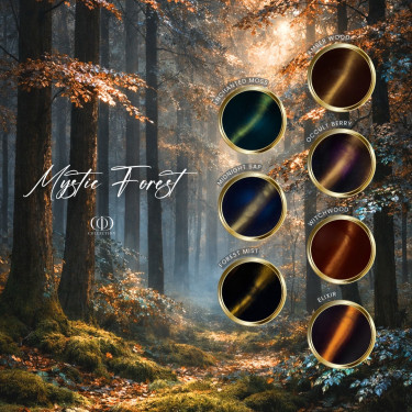 Box Mystic Forest &...