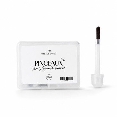 Pinceaux Vernis...